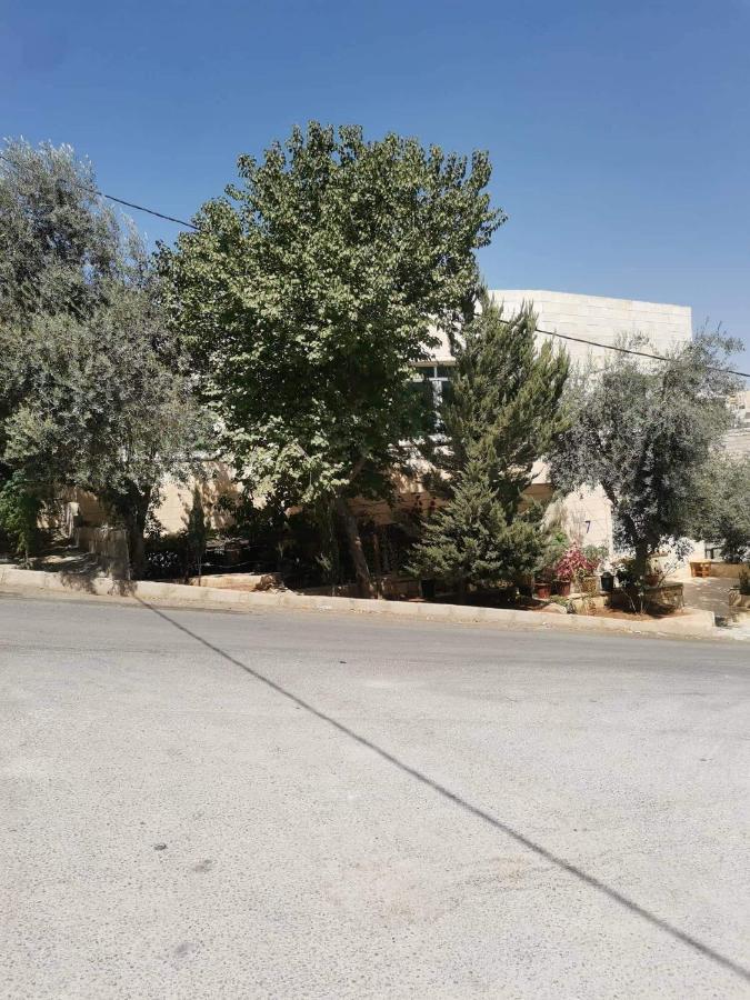Flower Jarash Exterior photo